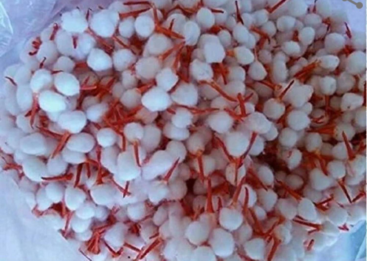 Akbari Traders 0006 Cotton Wick