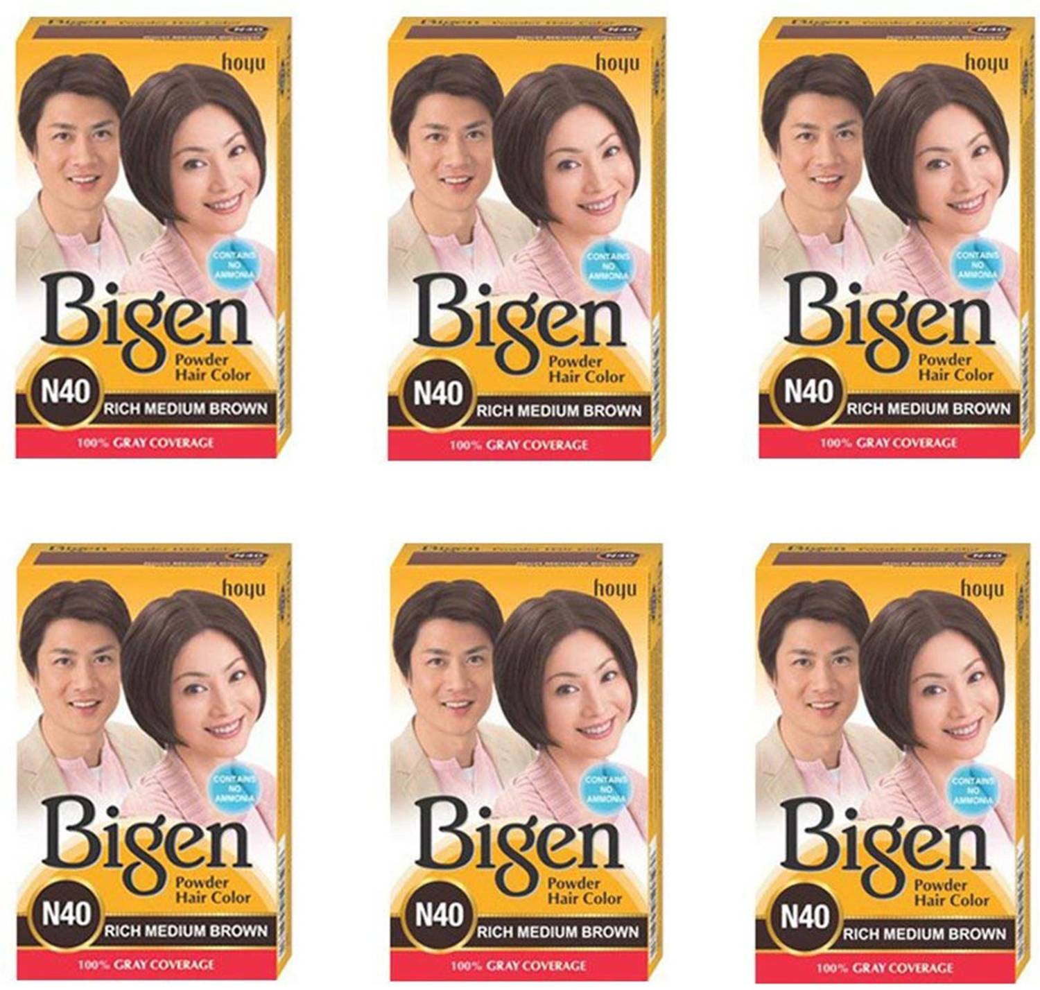 Bigen Long Lasting Powder Hair Colour For Men And Women - 6g Each - ( Combo Pack / Set Of 6 ) Ammonia Free Hair Color , N40 - RICH MEDIUM BROWN