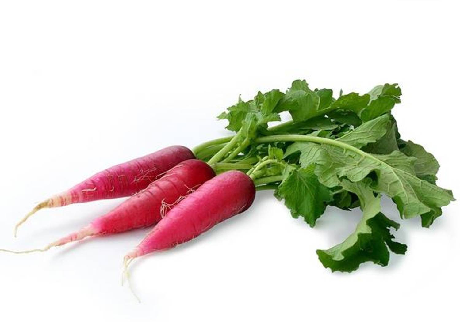 AllThatGrows Red Radish Seeds, Radish Full Red, Radish (Mooli) Seeds Pack Of 100 Seed