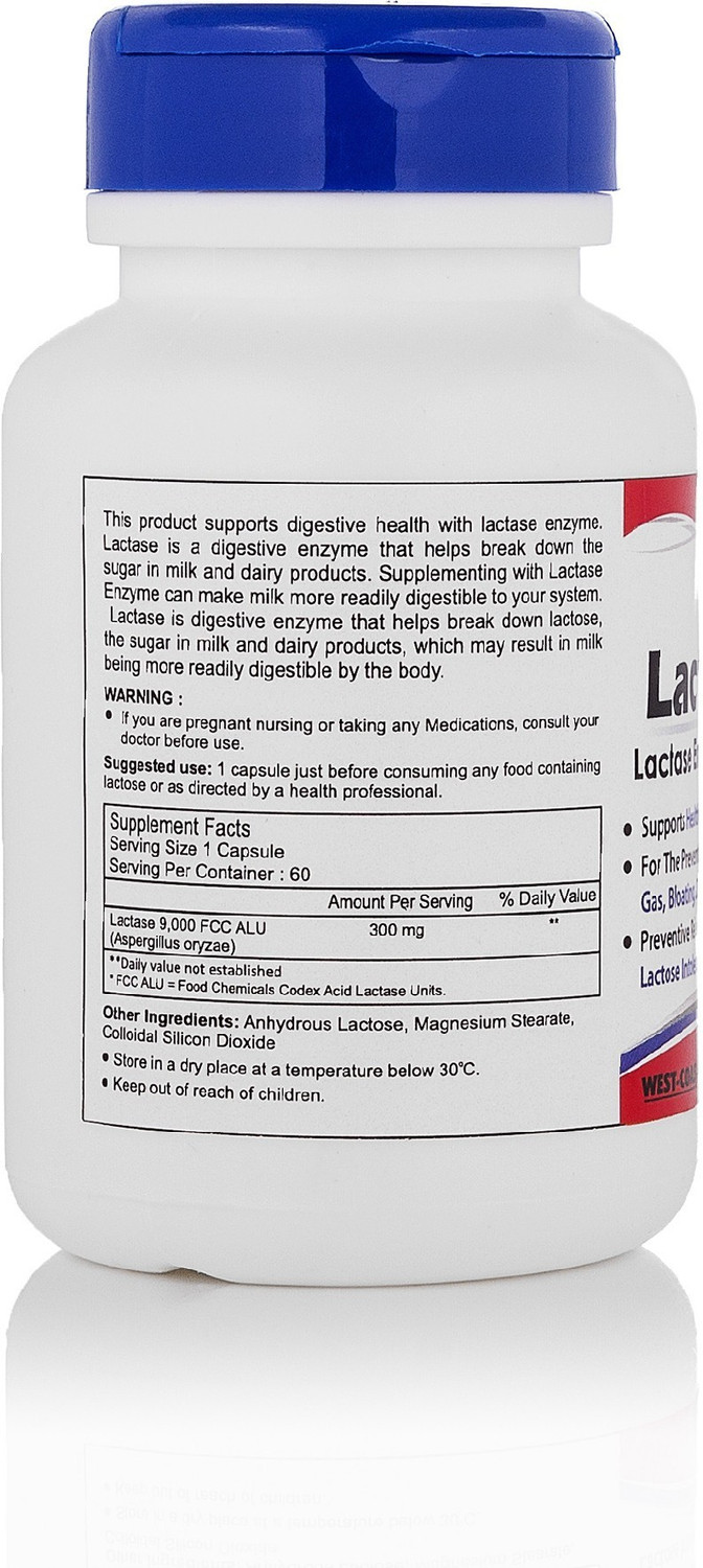 Image of HealthVit Lactaneed Lactase Enzyme Supplement 300mg 60 Capsules For Lactose Intolerance