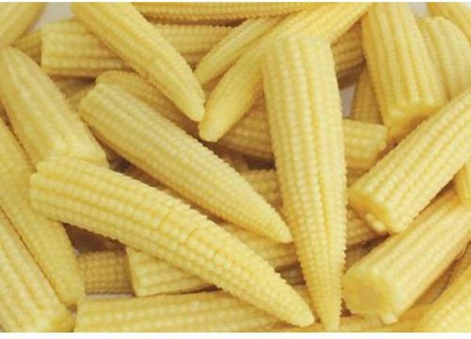 Antier BABY CORN SEED (PACK OF 50 SEED X 1 PER PKTS) 1 PACKET OF BABY CORN Seed