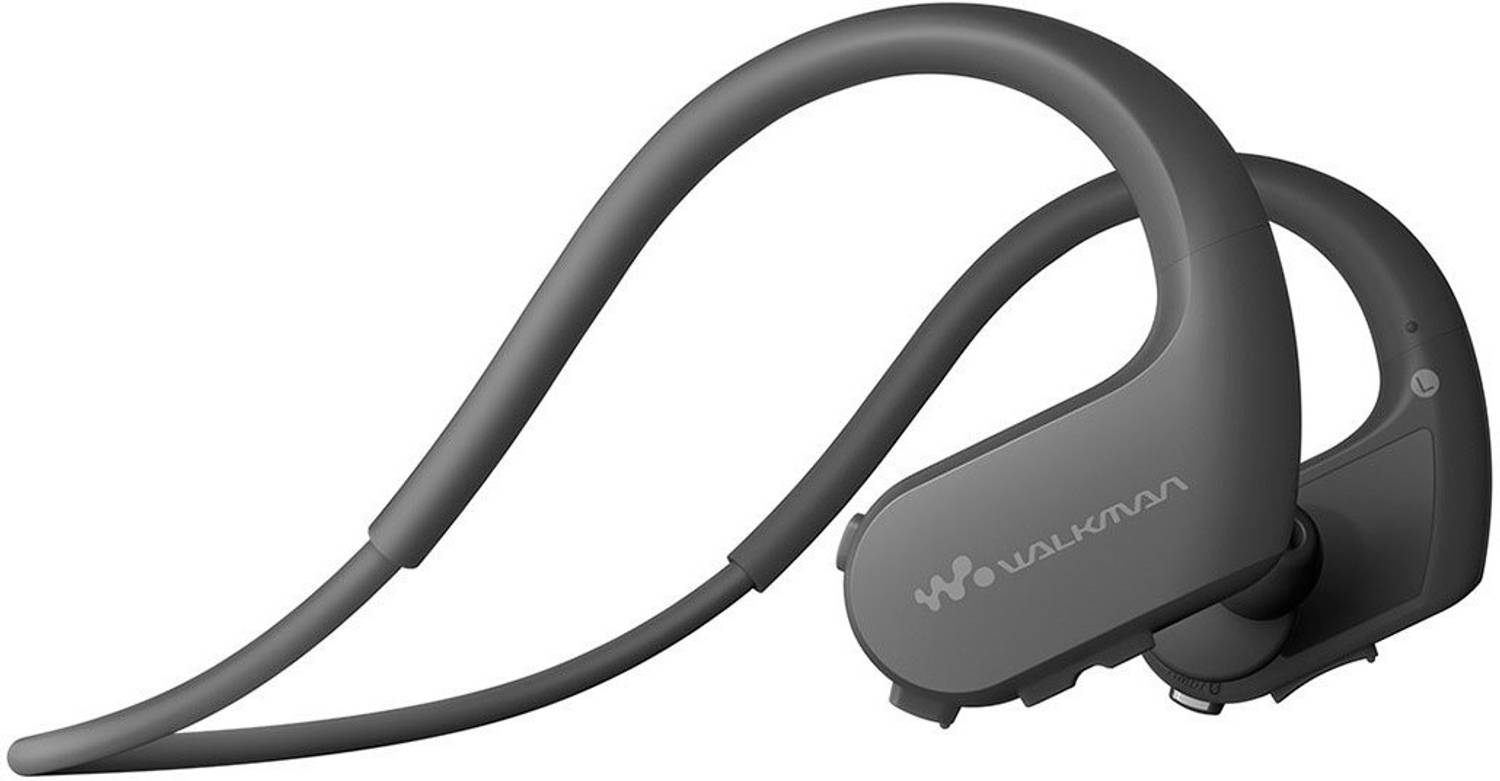 【良品】SONY WALKMAN NW-WS623 4GB SONY Walkman 4 GB MP3 Player - SONY : Flipkart.com