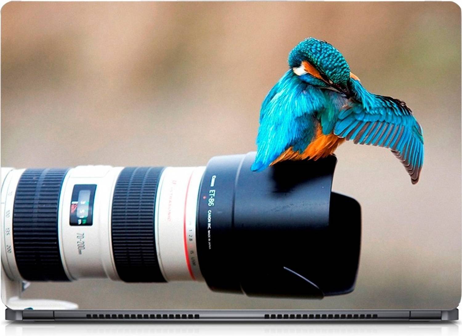 i-Birds Bird on Camera Exclusive High Quality Laptop Decal, laptop skin sticker 15.6 inch (15 x 10) Inch iB_skin_0299new Vinyl Laptop Skin Compatible for 15.6 inch