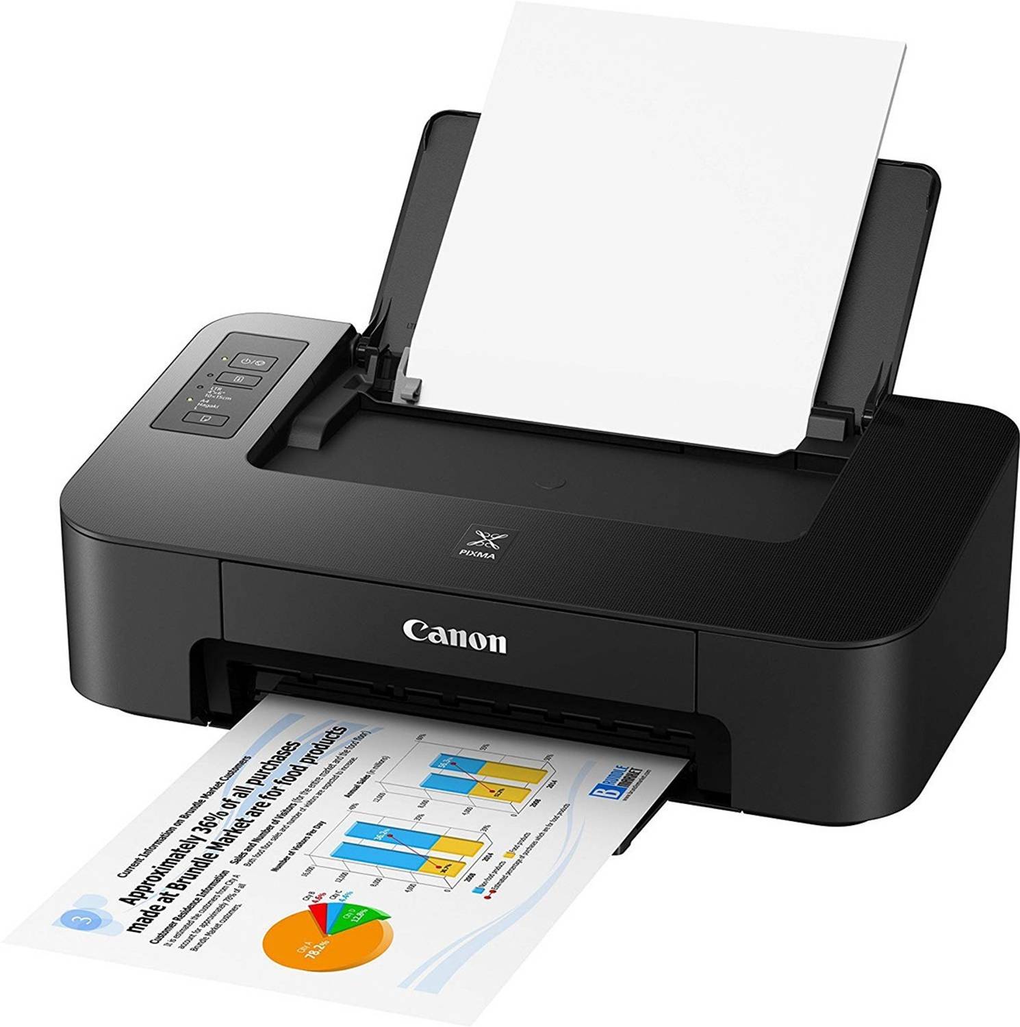 Canon PIXMA TS207 Single Function Color Inkjet Printer - Image 3