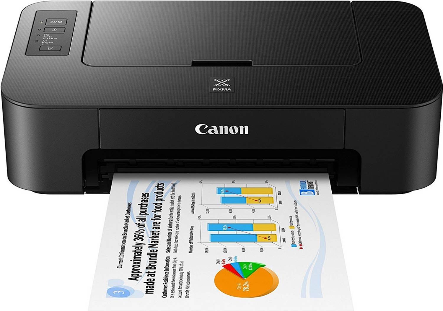 Canon PIXMA TS207 Single Function Color Inkjet Printer - Image 2