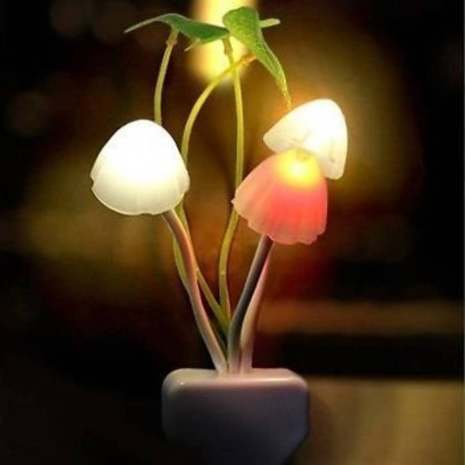3dome BEST Mushroom light autometic sensor night lamp Night Lamp-005 Night Lamp (15 cm, White) Night Lamp