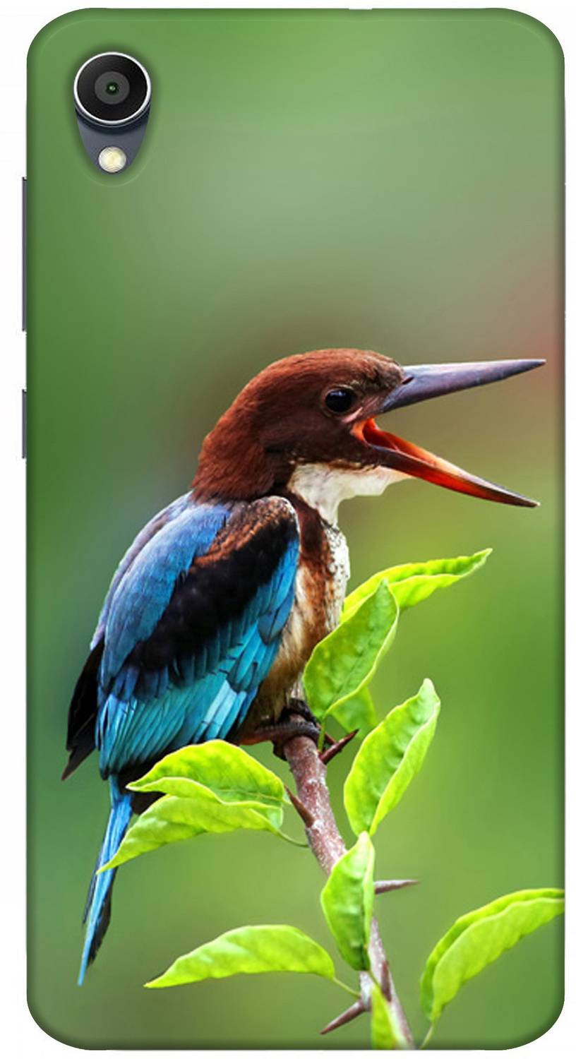 BAGRA Back Cover for Vivo Y91i Back Cover