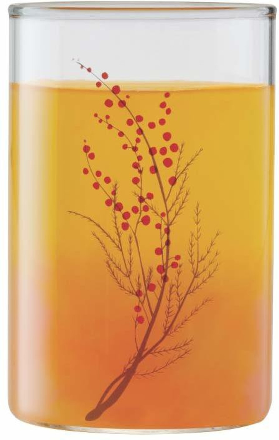 Image of BOROSIL (Pack of 6) Vision D'Signer Glass Set, 295ml, 6-Pieces, Transparent Glass Set Water /Juice Glass
