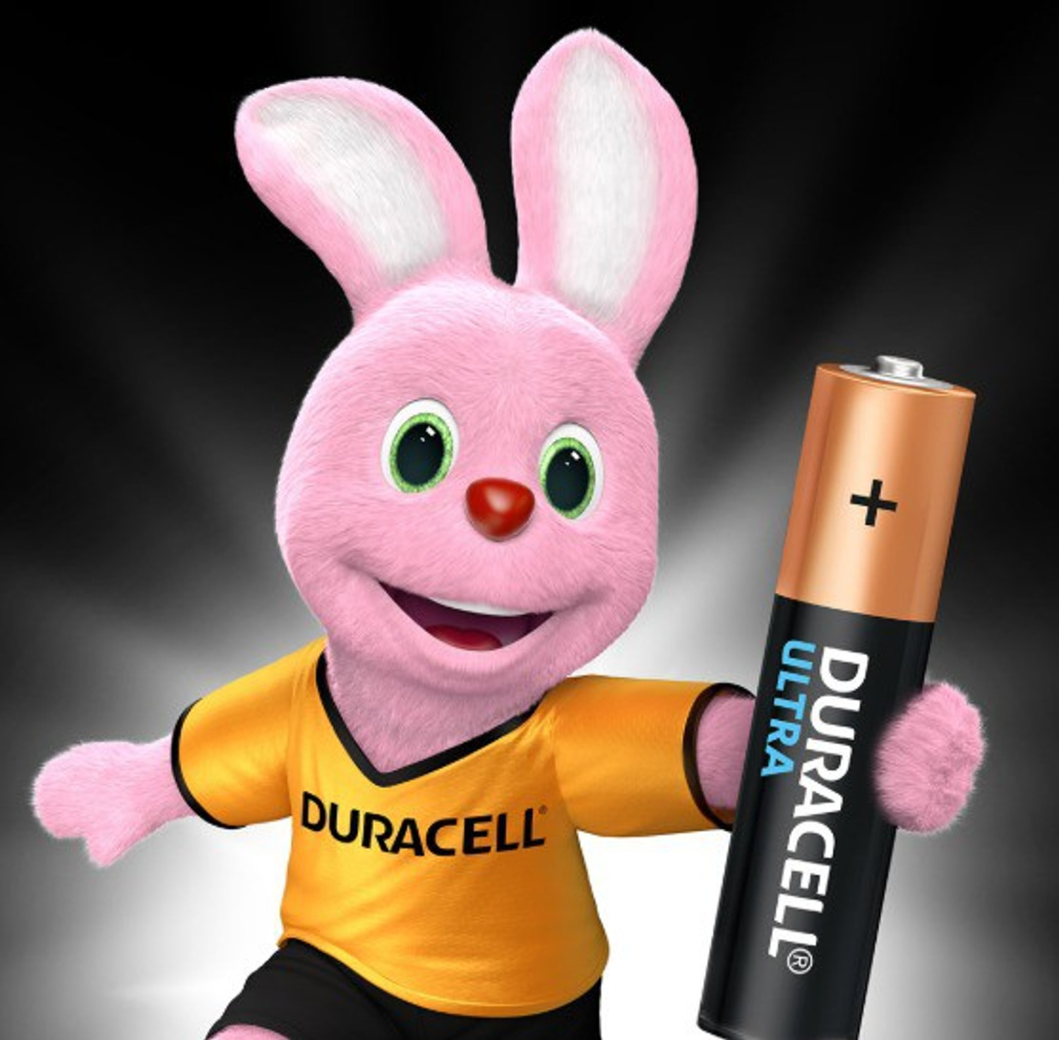 Image of DURACELL Ultra AA 4 Pcs Battery