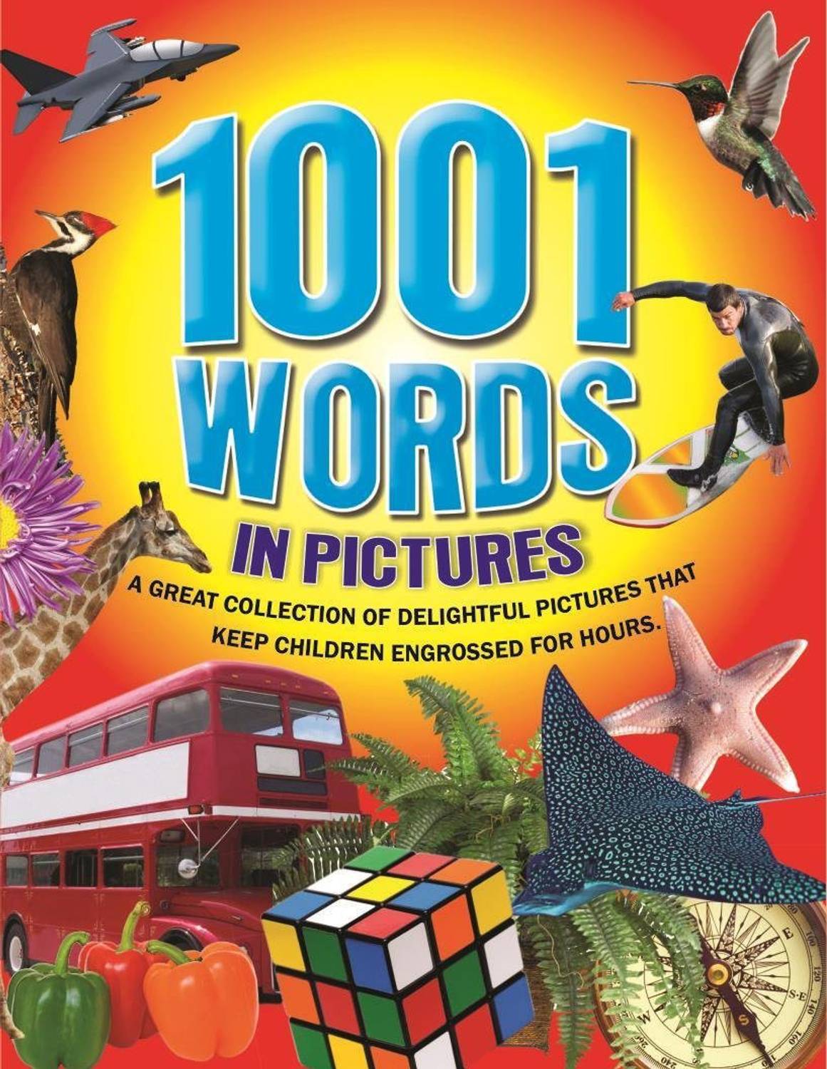 1001 WORDS IN PICTURE BOOK