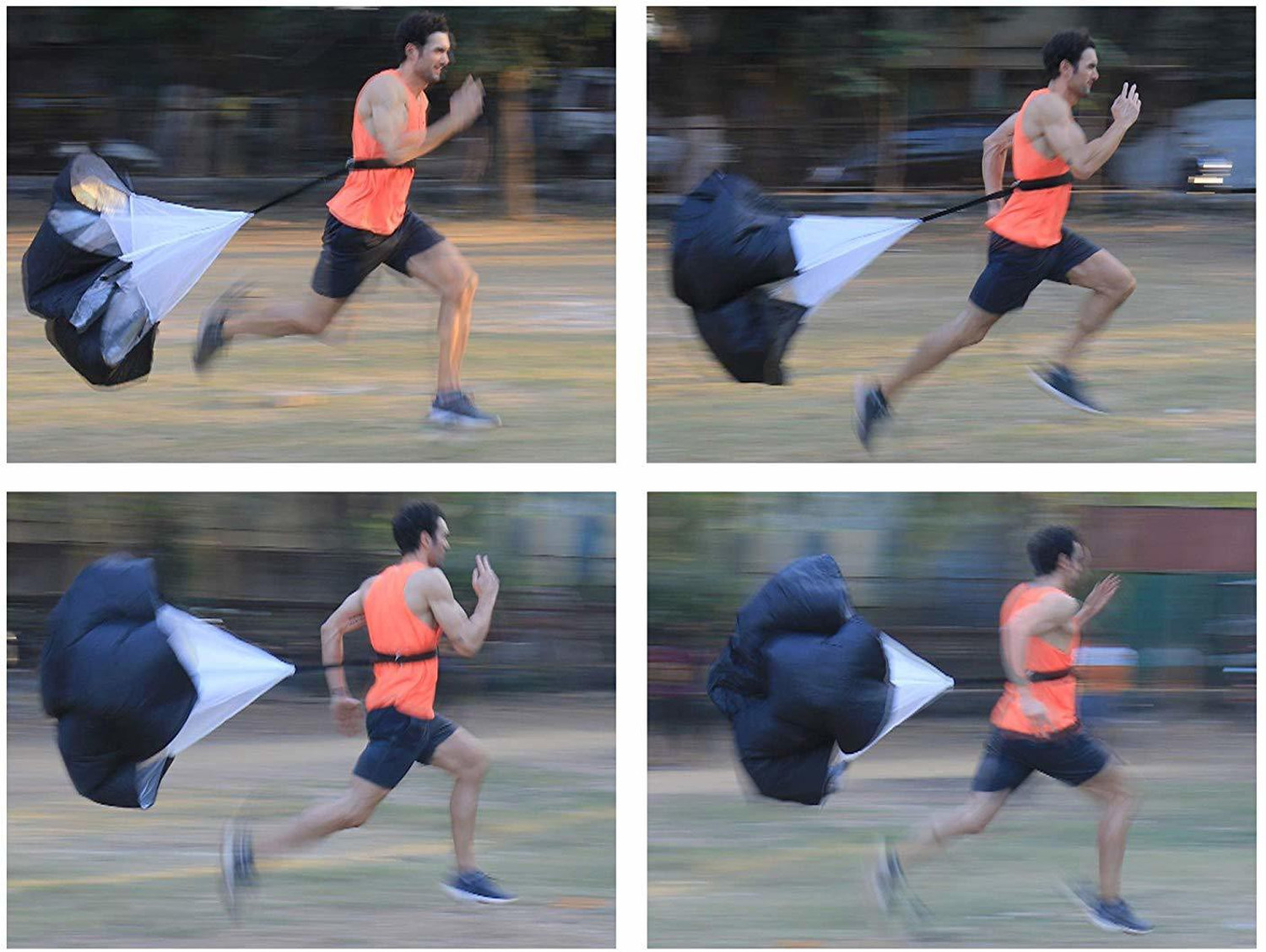 Image of Quinergys Single Large Training Chute