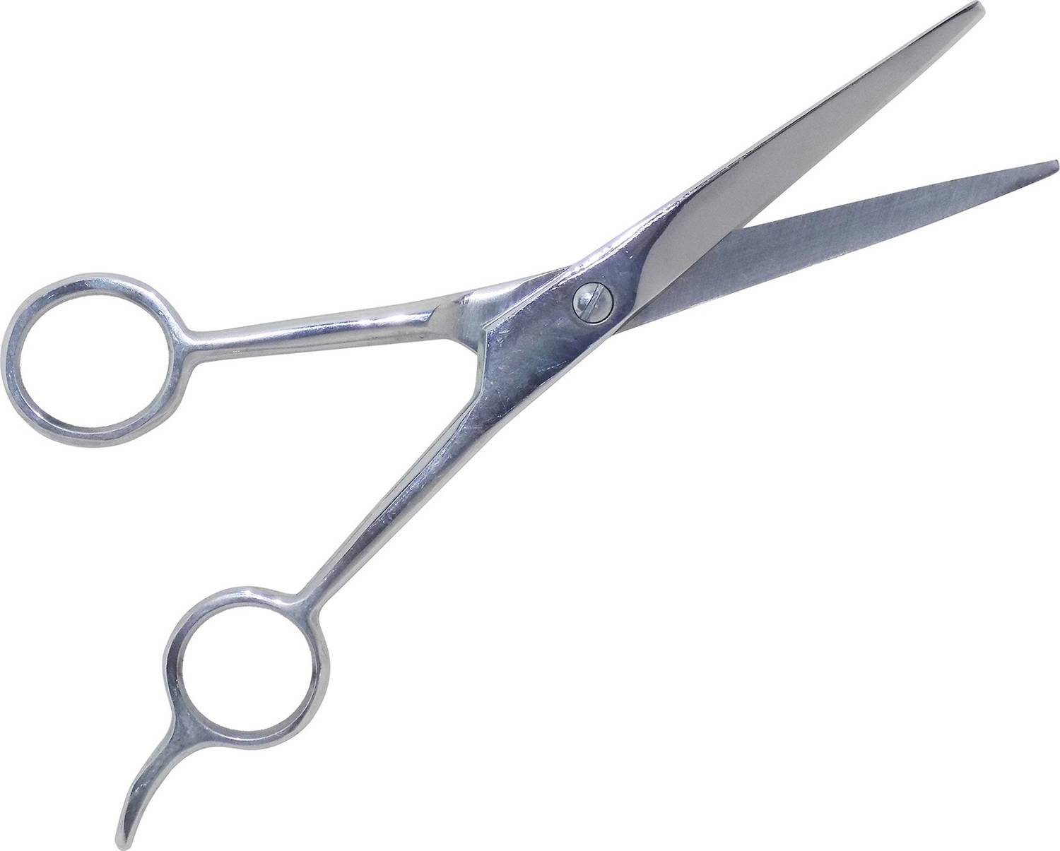 AASA Scissors for Moustache Trimming and Hair Cutting Perfect For Home and Salon Use Scissors (Set of 1, Silver) Scissors