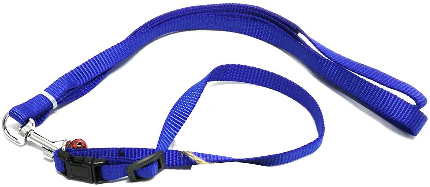 ADIOS GOOD QUALITY BLUE COLOR PUPPY & KITTEN BELT SET Dog Collar & Leash