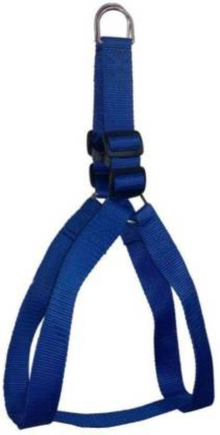 BODY BUILDING BLUE COLOR ADJUSTABLE DOG BODY BELT Dog Dog Everyday Collar