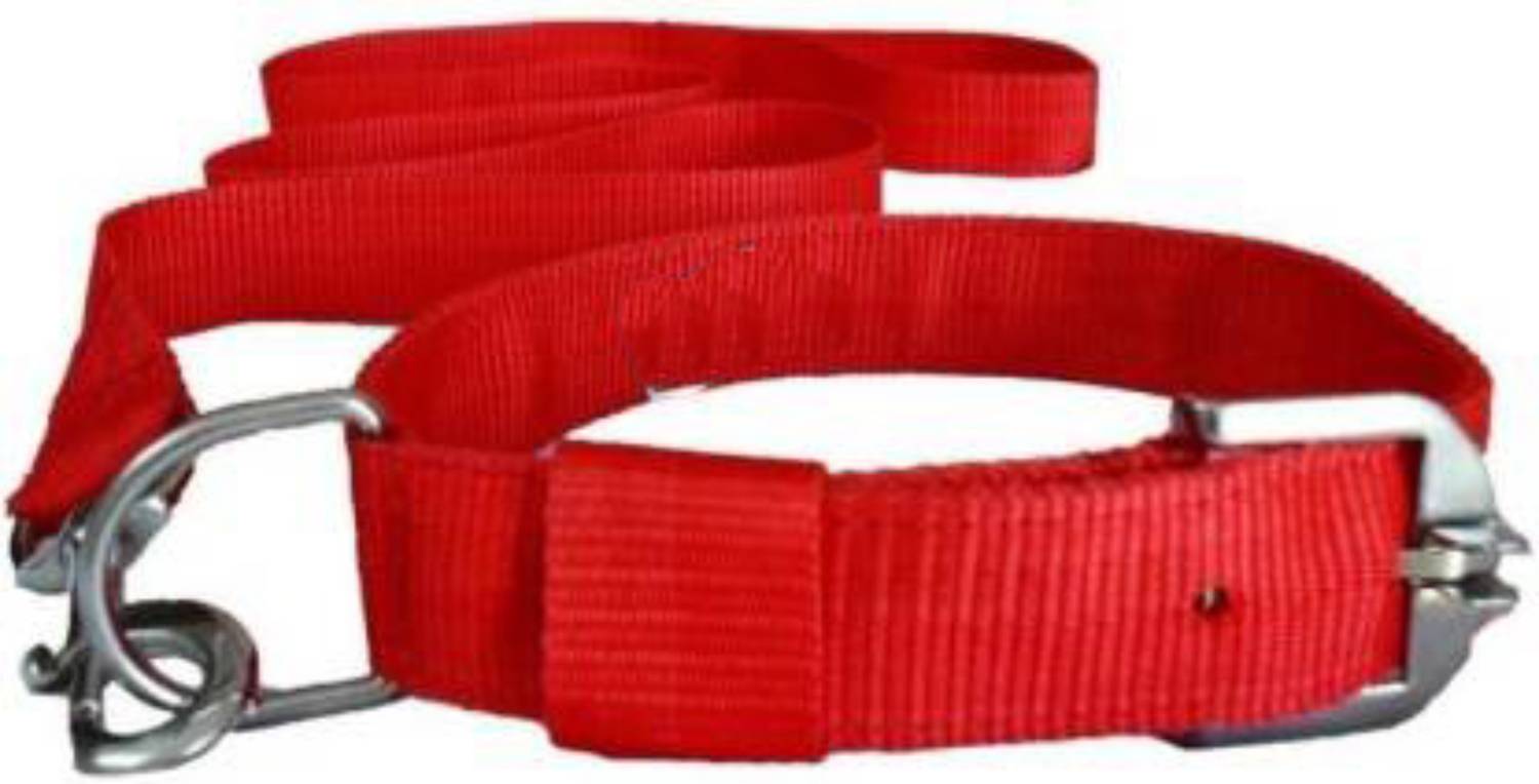 ADIOS GOOD QUALITY 1 INCH RED DOG BELT Dog Collar & Leash