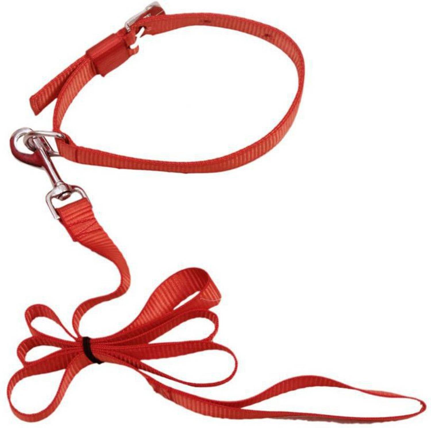 ADIOS GOOD QUALITY 0.5 INCH PUPPY & CAT BELT Dog Collar & Leash