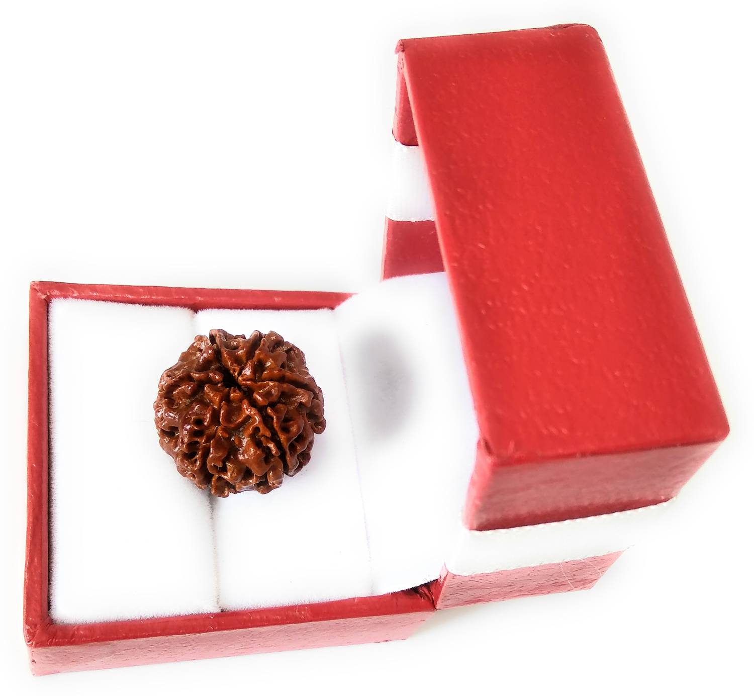 Astrosale 6 Mukhi Rudraksha Beads Wood