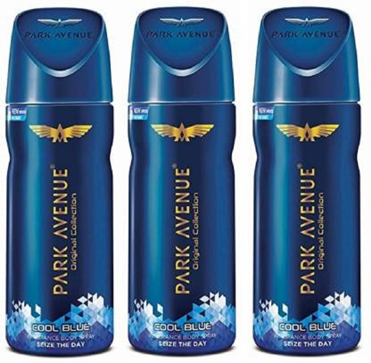 PARK AVENUE cool blue Body Spray - For Men (300 ml, Pack of 3)
