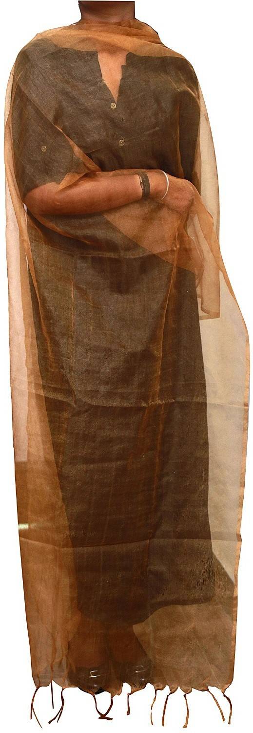Amodini Cotton Silk Solid Women Dupatta