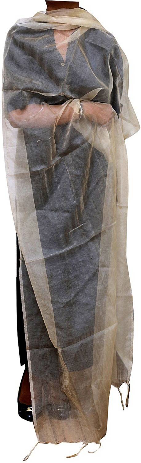 Amodini Cotton Silk Solid Women Dupatta