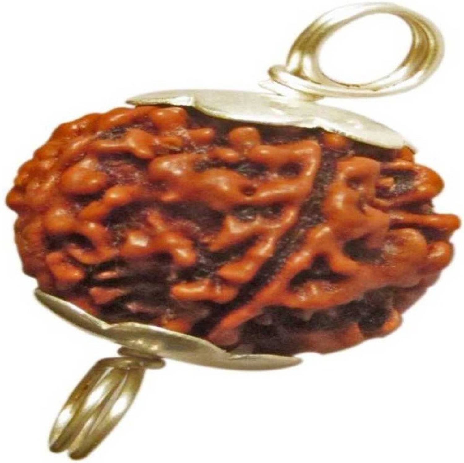 Aurra Stores 100 % Original & Natural Three Face / 3 Mukhi With JGL Lab Certified Wood