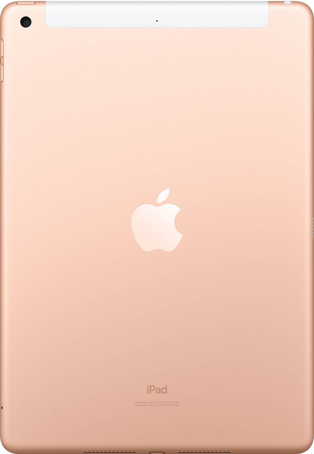 Apple iPad (7th Gen) 32 GB ROM 10.2 inch with 4G A10 Fusion Chip