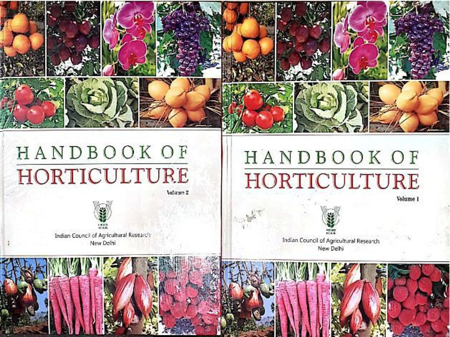 Image of ICAR Handbook of Horticulture in 2 Vols 2nd Revised Edition