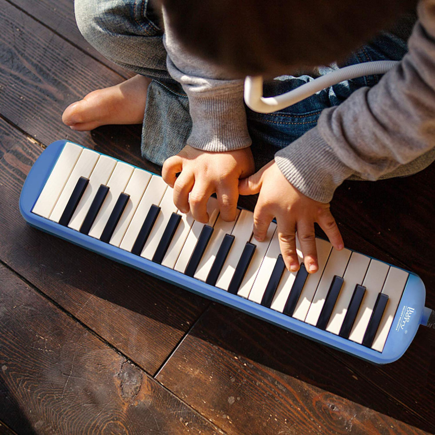 Image of BLUEBERRY Melodica 32 Keys Piano Instrument Soprano Air Piano with Mouthpiece with Hard ABS Case for Music Lovers
