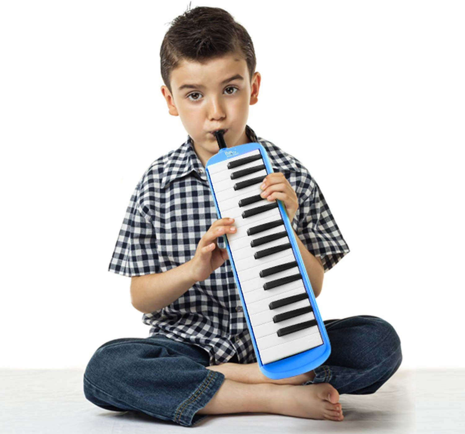 Image of BLUEBERRY Melodica 32 Keys Piano Instrument Soprano Air Piano with Mouthpiece with Hard ABS Case for Music Lovers