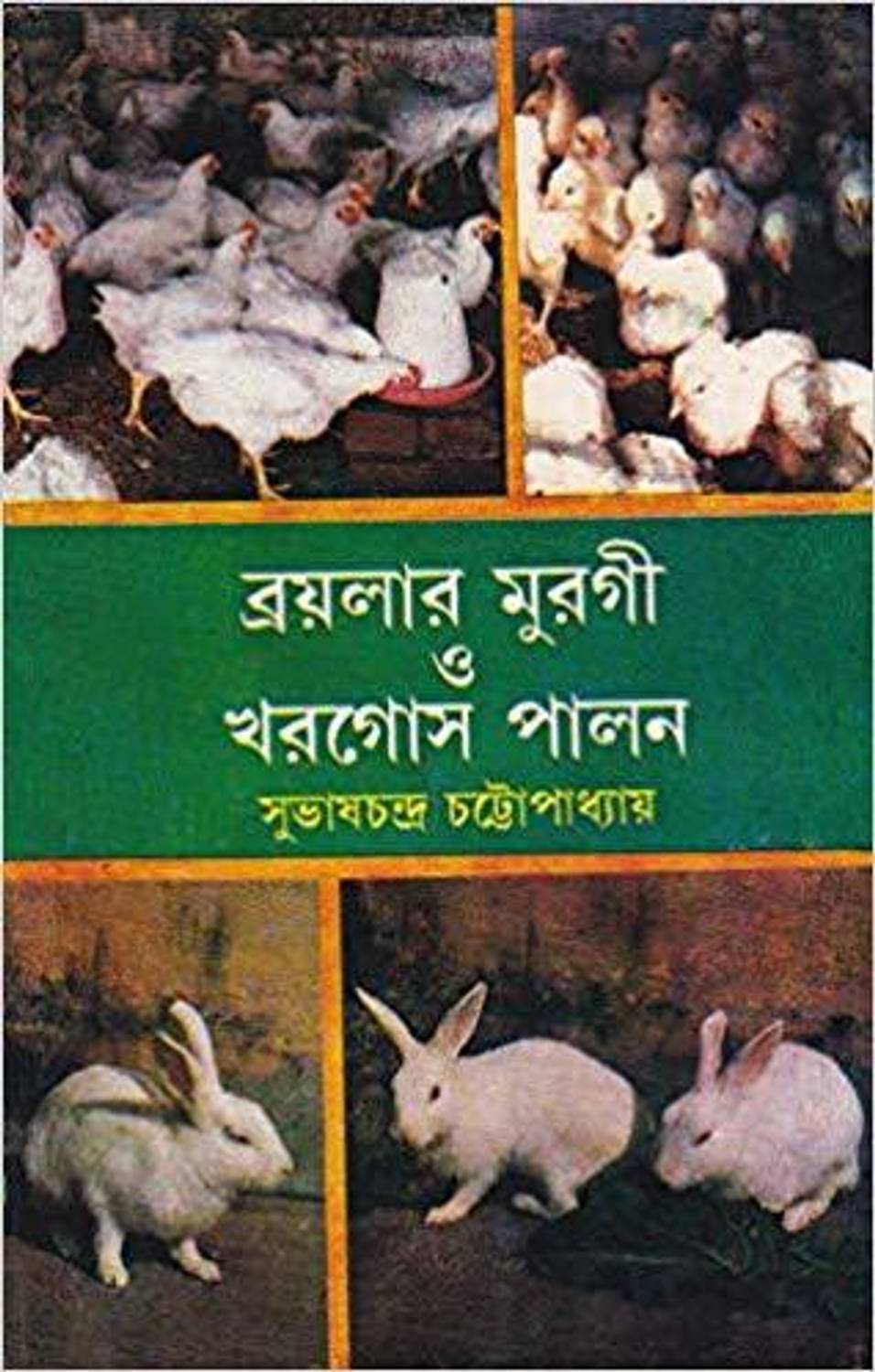 BROILER MURGI O KHARGOSH PALAN