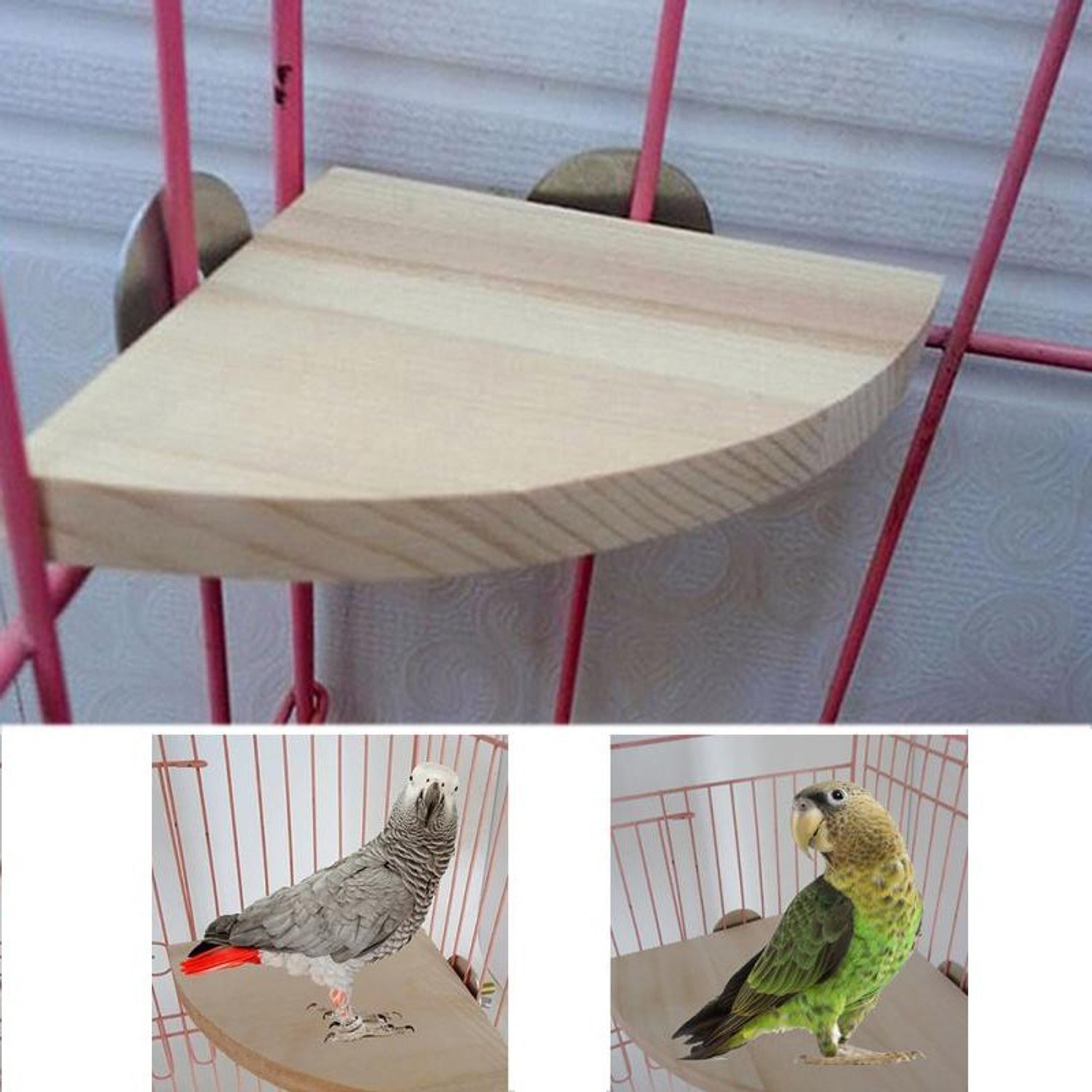 Image of Sage Square Wooden Perch For Bird
