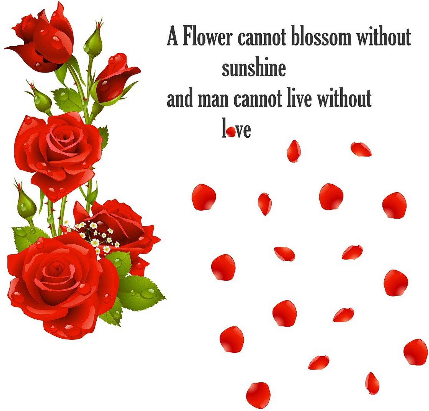 Zampyy 90 cm Red Roses with Quotes Large Vinyl Wallsticker(100 cm