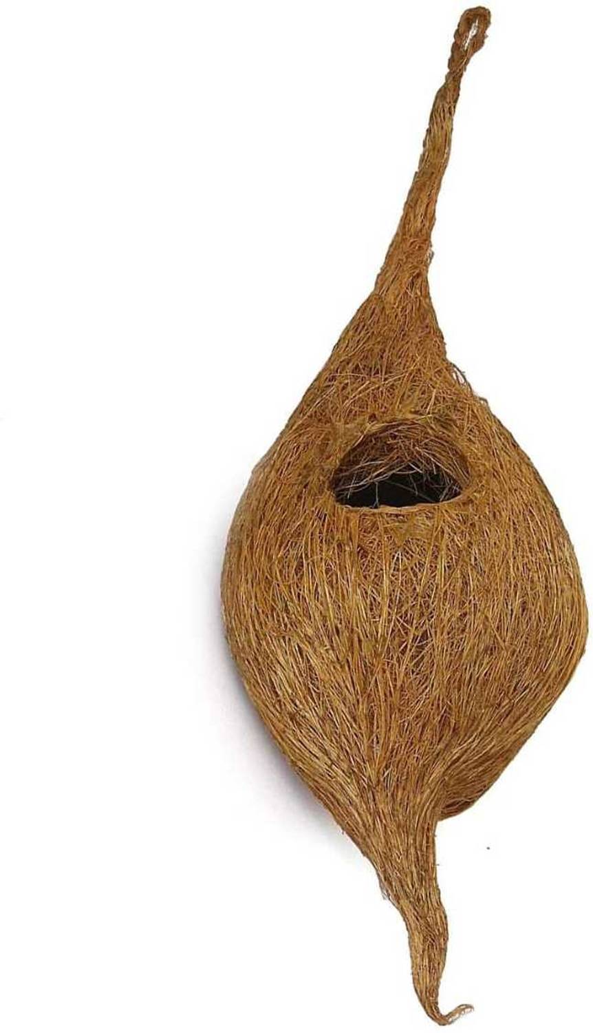 BOYU Wooden Training Aid For Bird