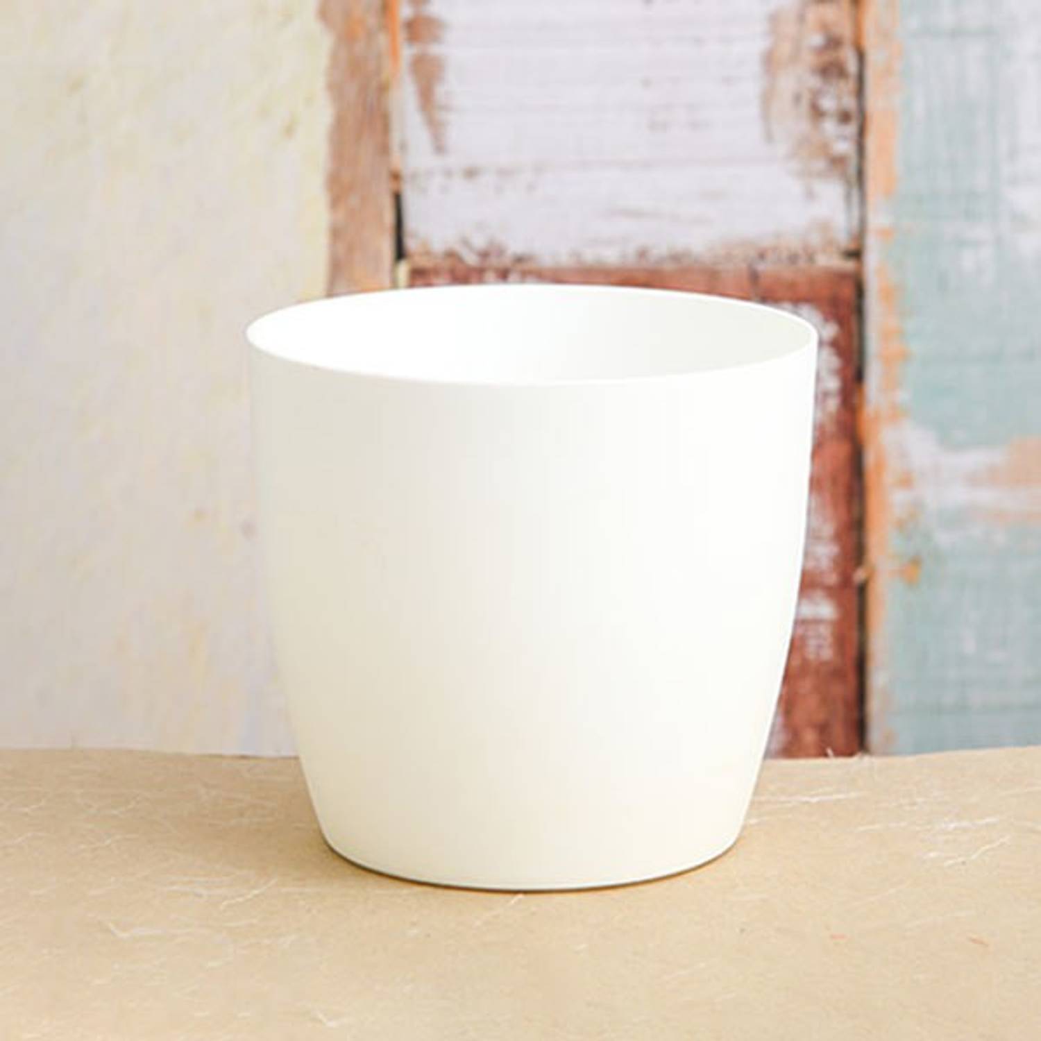 CACTUS VARIETIES RONDA WHITE POT 4 INCH SIZE (PACK OF 4 POTS) Plant Container Set