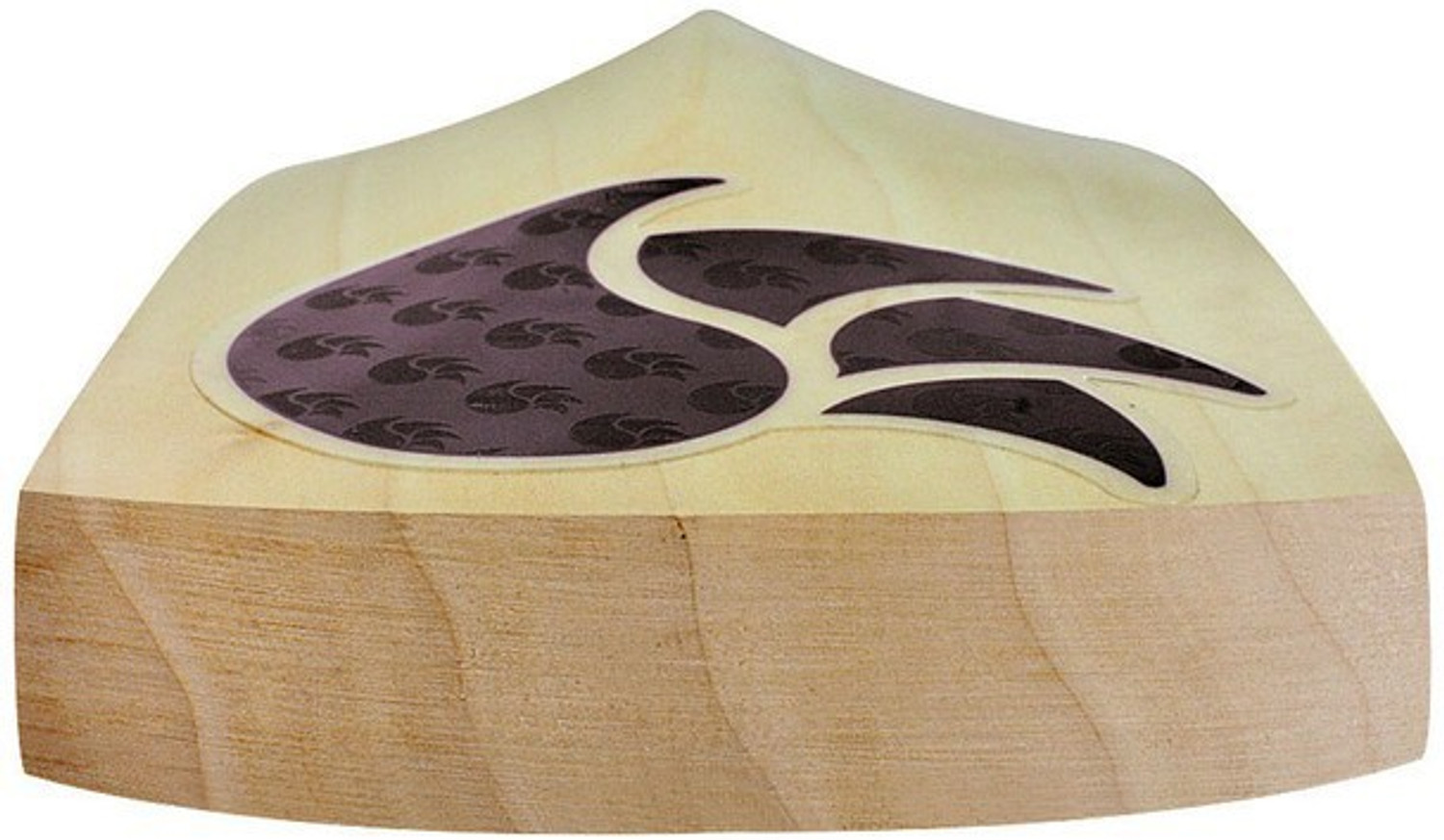 Image of DSC Intense Shoc English Willow Cricket Bat For 15+ Yrs