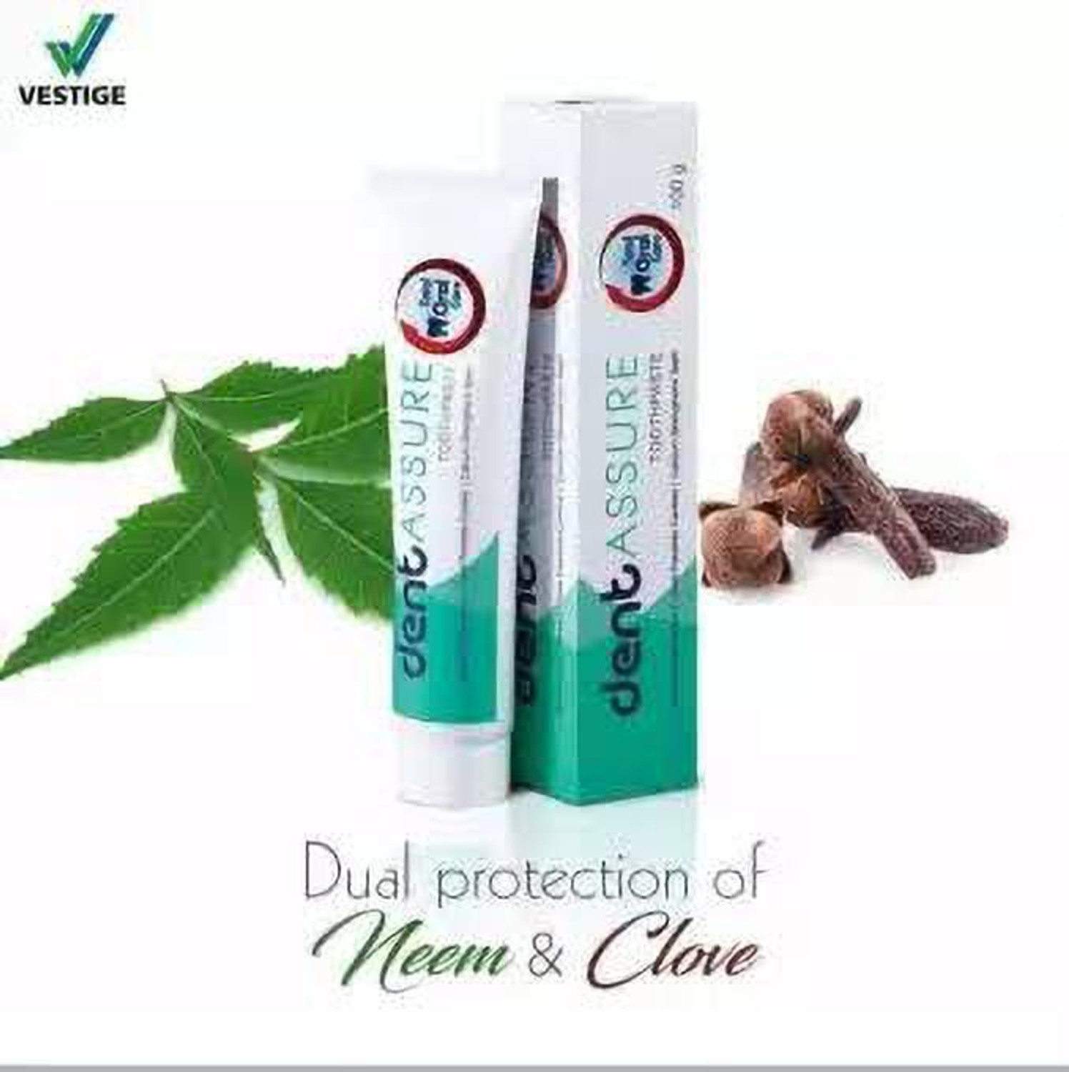 Image of ASSURE Neem Toothpaste (Pack of 6) Toothpaste