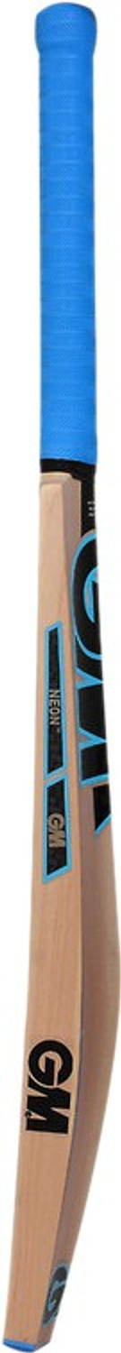 Image of GM Neon 202 Kashmir Willow Cricket Bat For 15+ Yrs