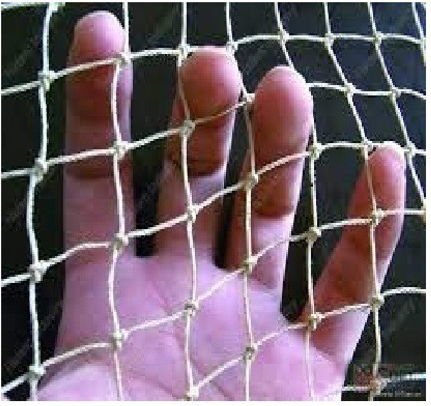 Image of FALCON Anti Bird Net 6 X 10 Foot Net ,White Camping Net