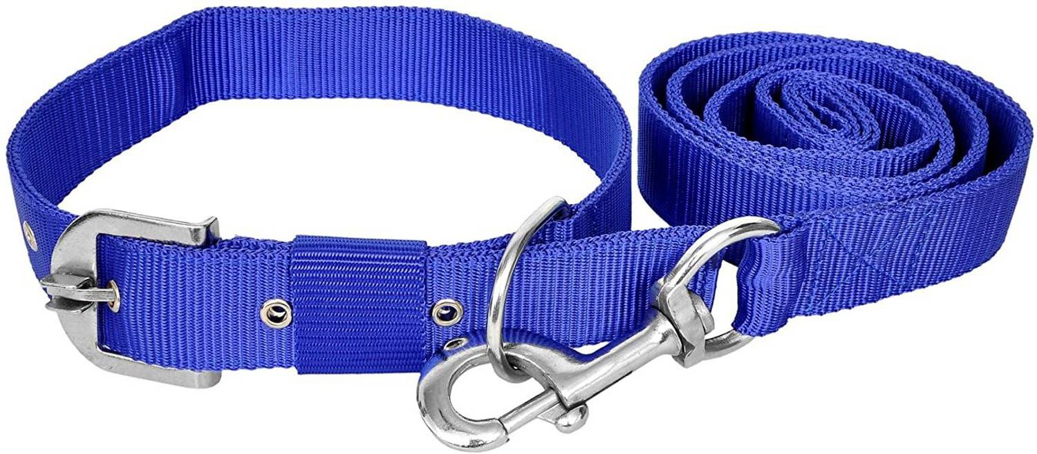 ADIOS Good Quality Nylon 1 inch Blue Dog Collar Belt 1.5m Lengthy Dog Collar & Leash