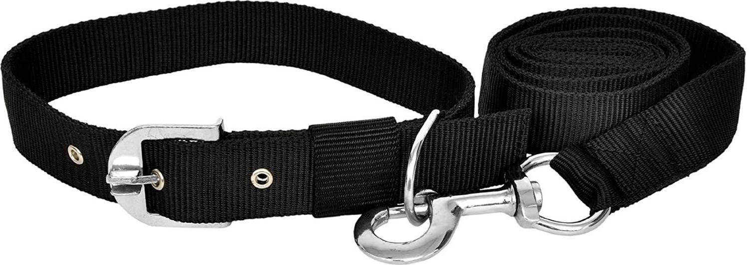 ADIOS Good Quality Nylon 1 inch Black Dog Collar Belt 1.5m Lengthy Dog Collar & Leash