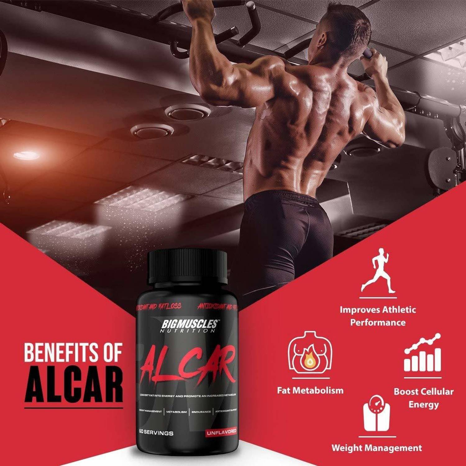 BIGMUSCLES NUTRITION ALCAR (ACETYL L-CARNITINE 1000mg Per Serving) | 60  Servings | Natural Fat Burner Price in India - Buy BIGMUSCLES NUTRITION  ALCAR (ACETYL L-CARNITINE 1000mg Per Serving)