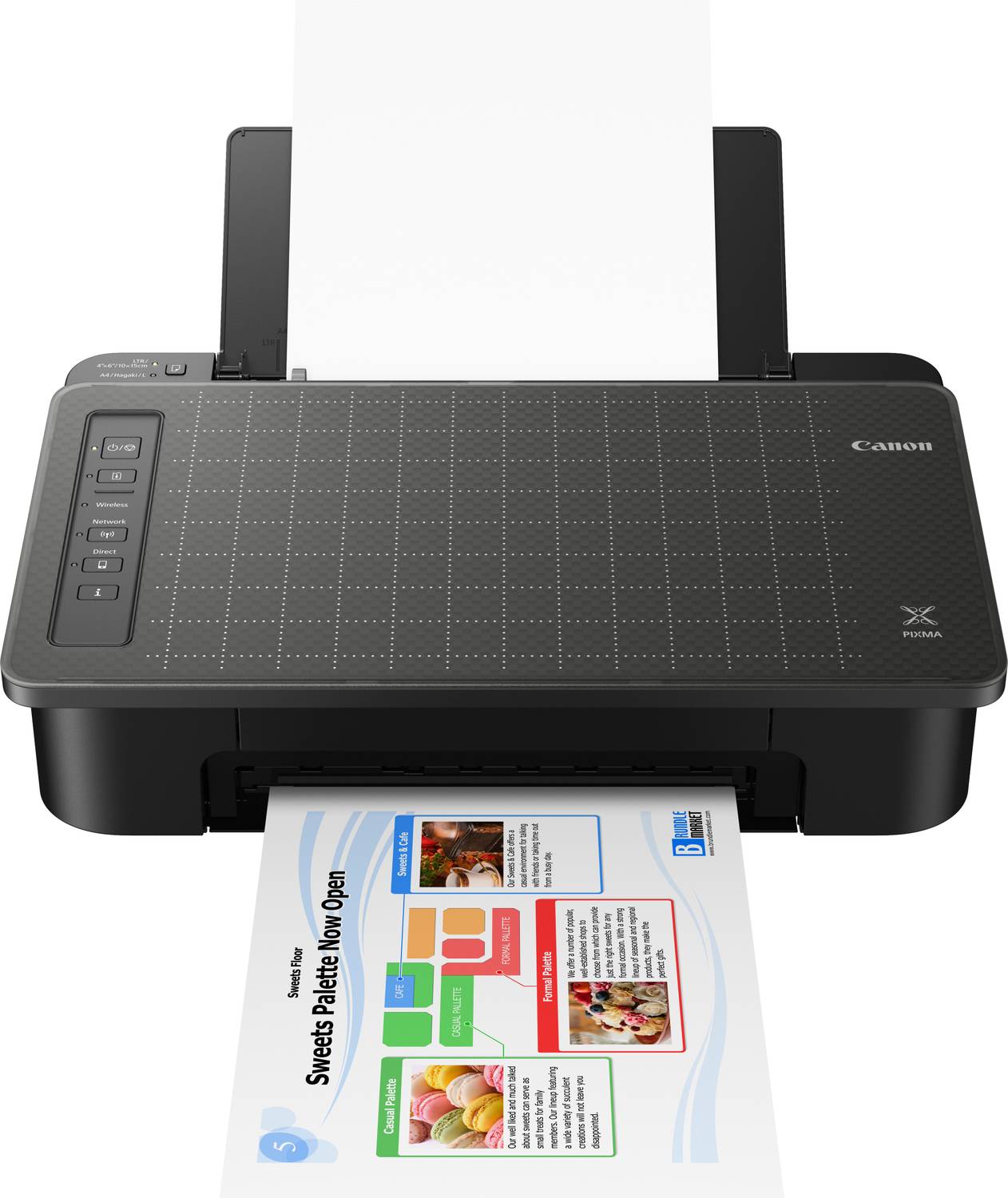 Canon PIXMA TS307, TS307A Single Function WiFi Color Inkjet Print