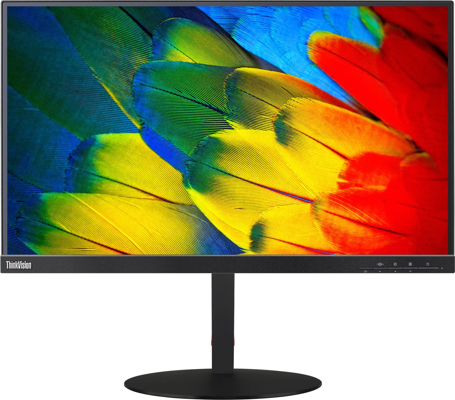 Lenovo 60.45 cm (24 inch) Full HD IPS Panel Monitor (T24m-10)