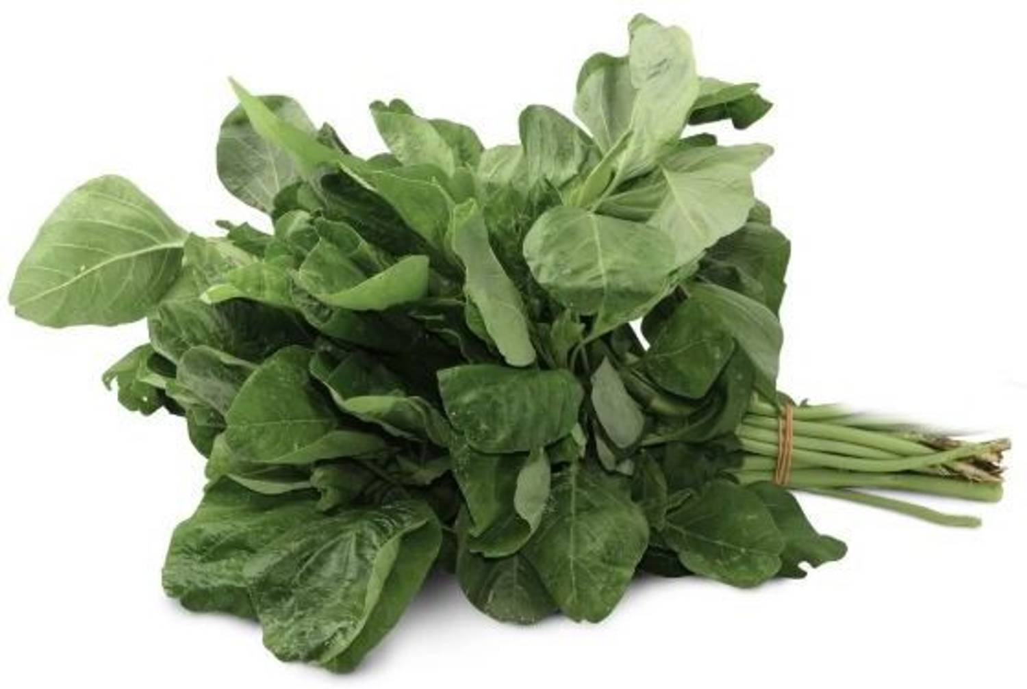 Amaranthus - Green