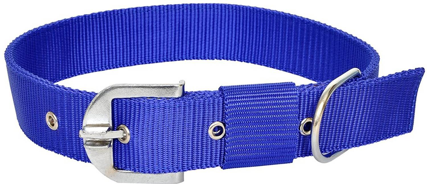 ADIOS Good Quality Nylon 1 inch Blue Dog Collar, Dog Belt Neck Size 38cm to 48cm Dog Everyday Collar