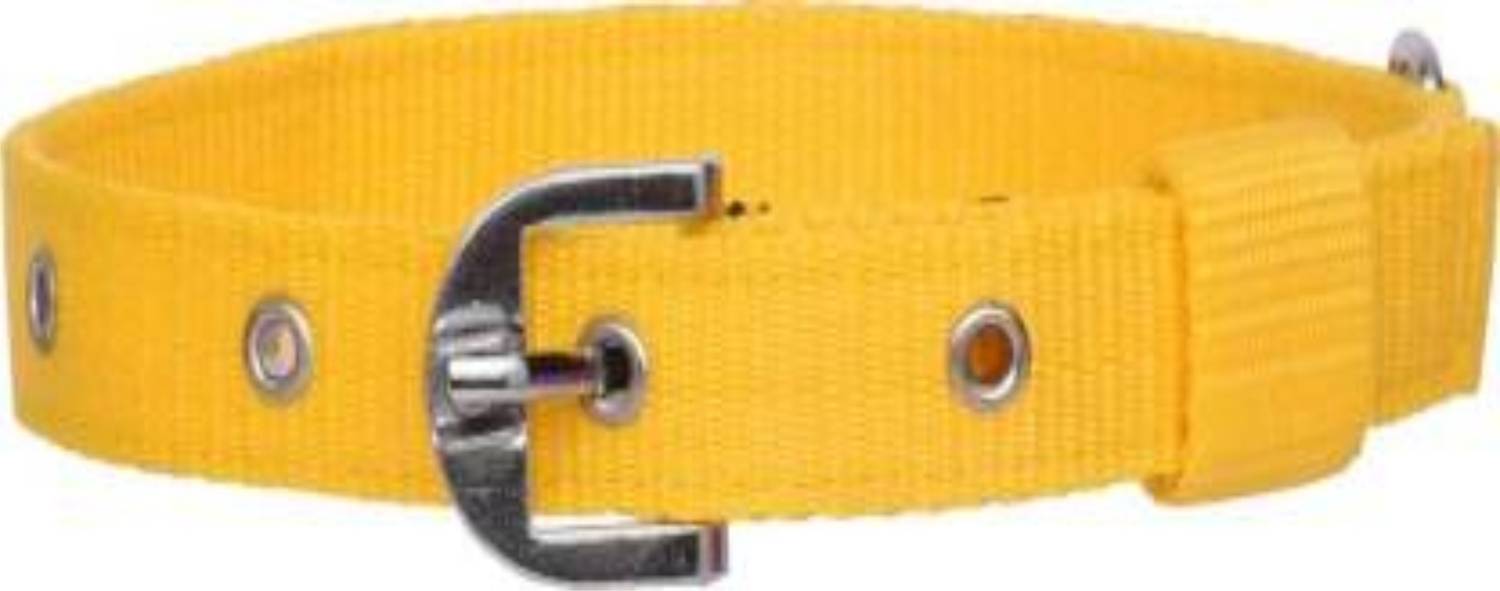 ADIOS Good Quality Nylon 1 inch Yellow Dog Collar, Dog Belt Neck Size 38cm to 48cm Dog Everyday Collar