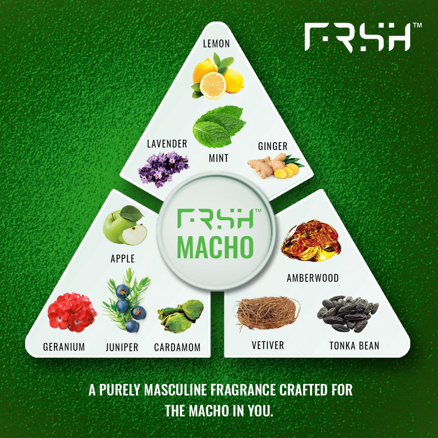 Image of Frsh By Salman Khan Perfumed Dedorant Body Spray-MACHO-Pack of 2 Perfume Body Spray - For Men