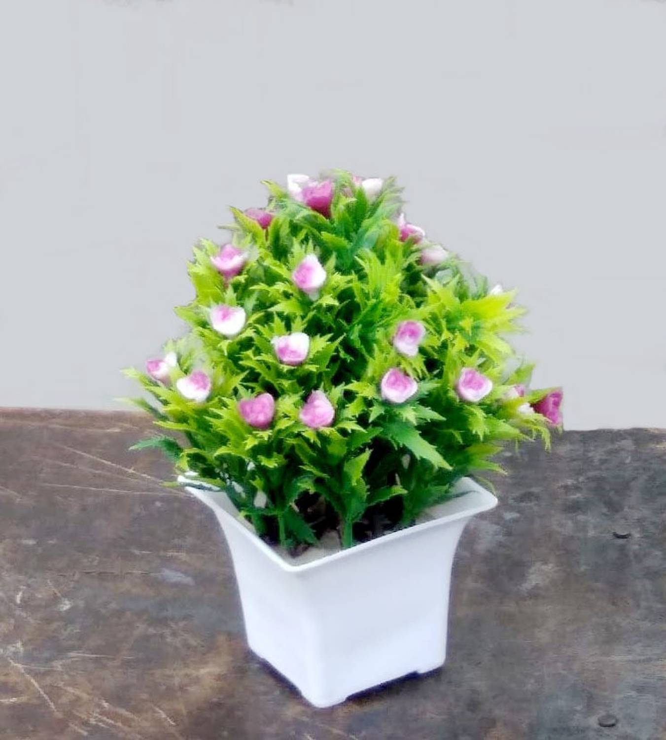 CHHAVI ENTERPRISES Bonsai Artificial Plant with Pot