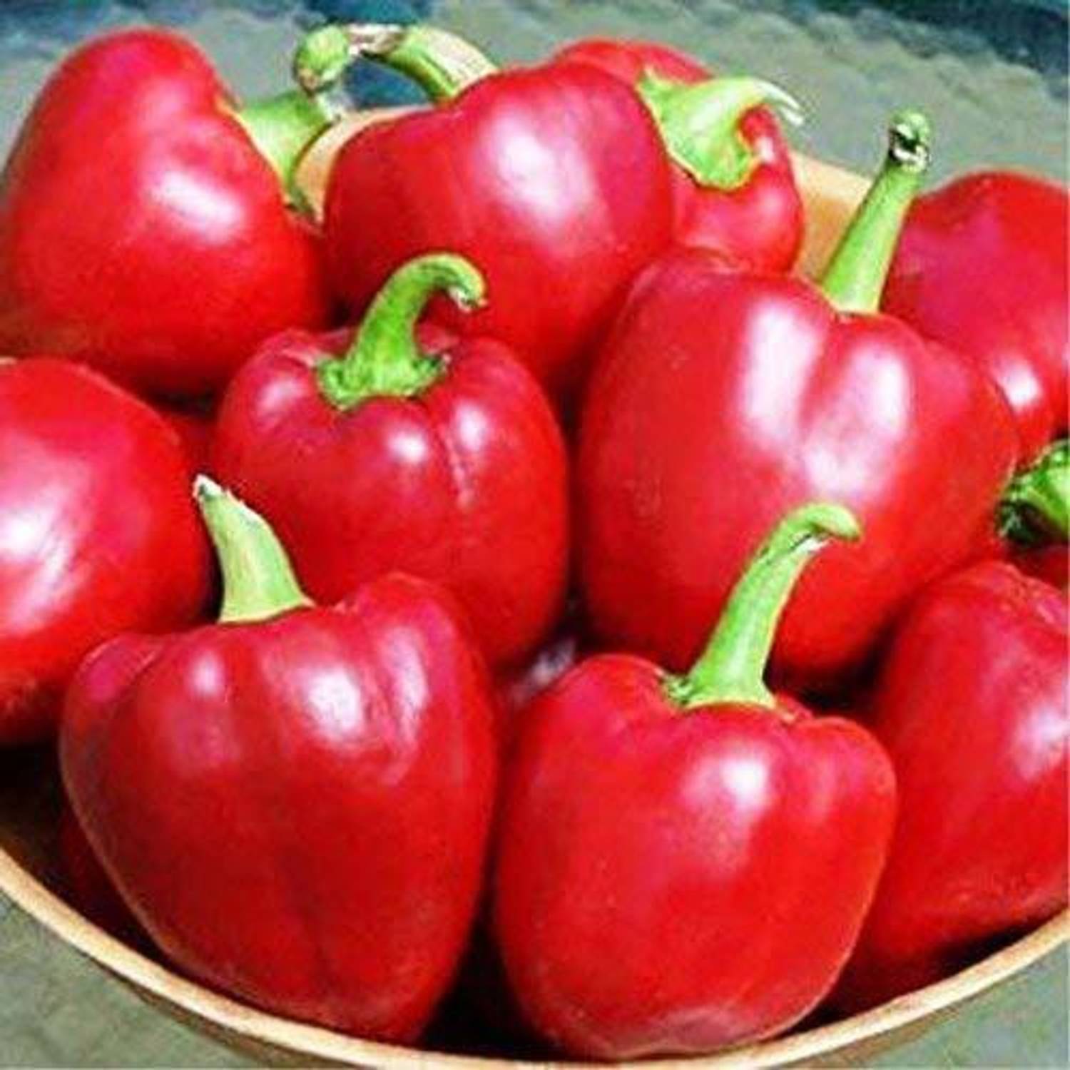 ベリーリーページ3点 VibeX ® VXI-129 Red Capsicum Vegetable Seeds Seed Price in India