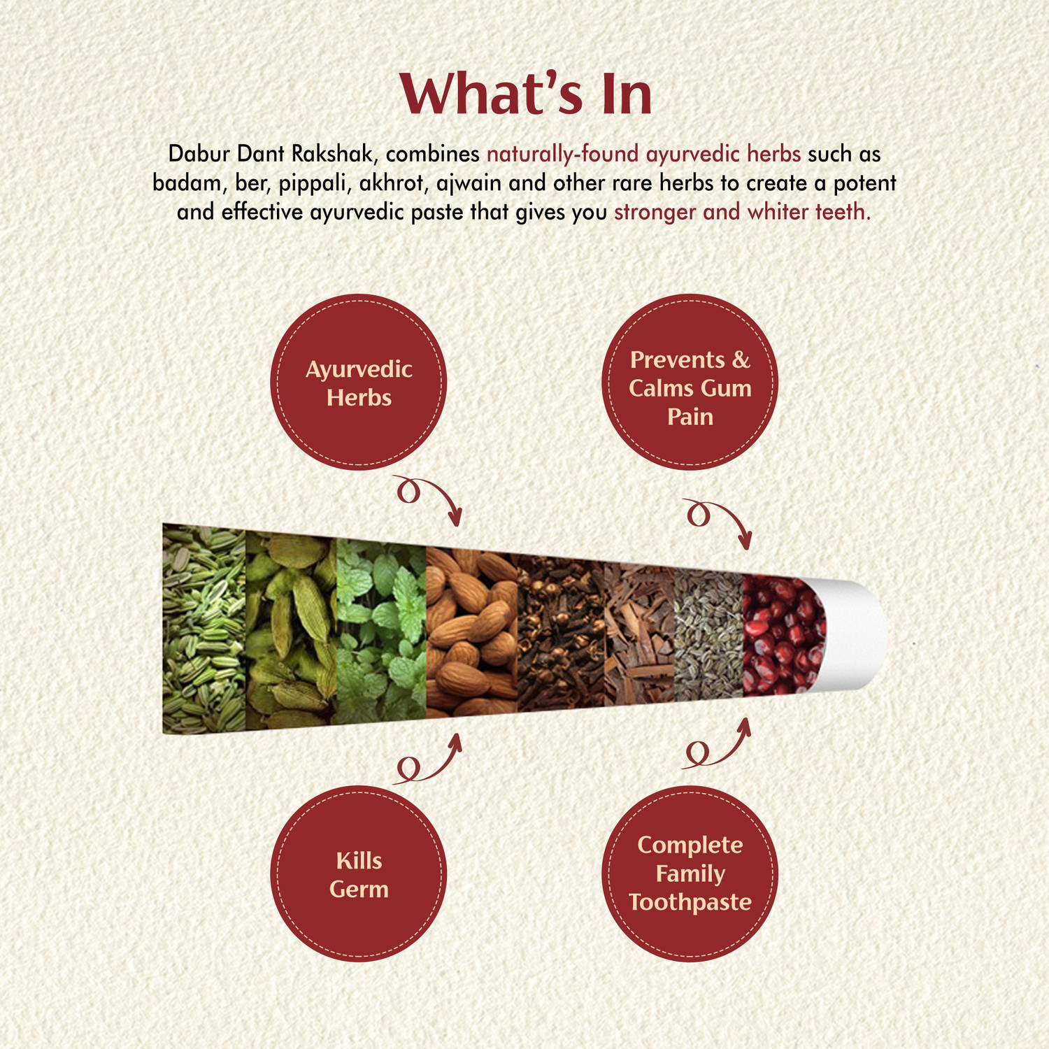 Image of Dabur Dant Rakshak Toothpaste